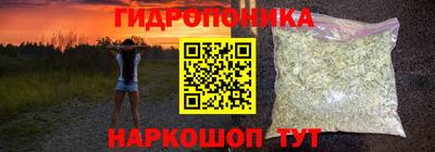 спиды Бийск
