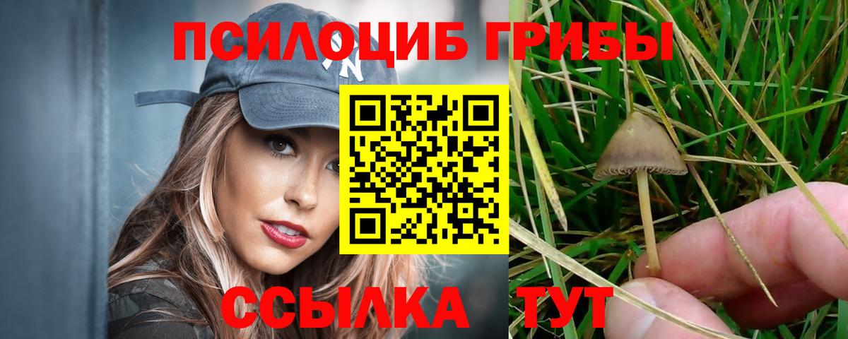 наркошоп  Псилоцибиновые грибы прущие грибы  Галлюциногенные грибы мицелий  Вход с VPN  Иваново 